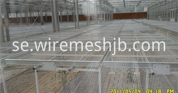 Seedling Bed Mesh